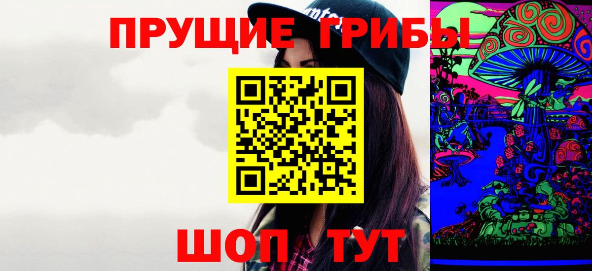 где можно купить наркотик  Галлюциногенные грибы GOLDEN TEACHER  Вход с VPN  Долгопрудный 